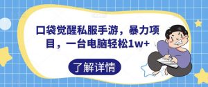 口袋觉醒私服手游,暴力项目,一台电脑轻松1w+【揭秘】-聚富社