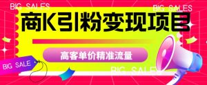 商K引粉变现项目,高客单价精准流量【揭秘】-聚富社