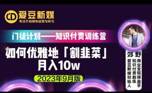 爱豆新媒:如何优雅地「割韭菜」月入10w的秘诀(2023年9月版)-聚富社