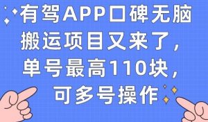 有驾APP口碑无脑搬运项目又来了,单号最高110块,可多号操作-聚富社