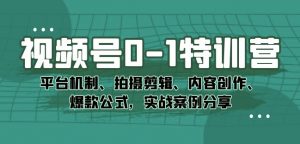 视频号0-1特训营:平台机制、拍摄剪辑、内容创作、爆款公式,实战案例分享-聚富社