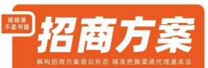 王昕招商方案,解构招商方案意识形态,精准把握渠道代理基本法-聚富社