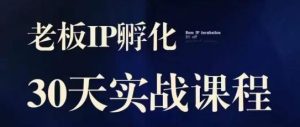 诸葛·2023老板IP实战课,实体同城引流获客,IP孵化必听-聚富社