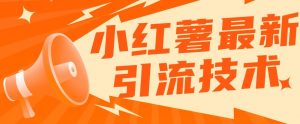 小红书最新引流技术,真正实现解放双手暴力引流-聚富社