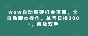 wow自动搬砖打金项目,全自动脚本操作,单号日撸300+,解放双手【揭秘】-聚富社