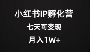价值2000+的小红书IP孵化营项目,超级大蓝海,七天即可开始变现,稳定月入1W+-聚富社