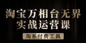 沧海·淘系万相台无界实战运营课,万相台无界实操全案例解析-聚富社