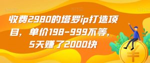 收费2980的塔罗ip打造项目,单价198-999不等,5天赚了2000块【揭秘】-聚富社