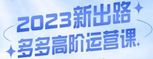 大炮·多多高阶运营课,3大玩法助力打造爆款,实操玩法直接亮出干货-聚富社
