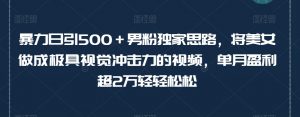 暴力日引500+男粉独家思路,将美女做成极具视觉冲击力的视频,单月盈利超2万轻轻松松-聚富社