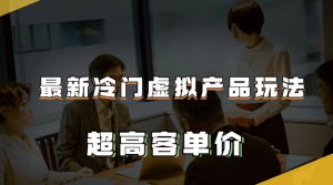 最新冷门虚拟产品玩法,超高客单价,月入2-3万+【揭秘】-聚富社