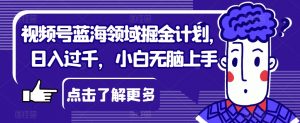 视频号蓝海领域掘金计划,日入过千,小白无脑上手【揭秘】-聚富社
