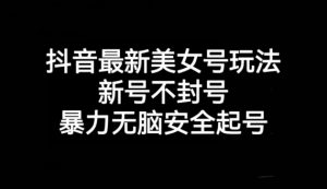 抖音最新美女号玩法,新号不封号,暴力无脑安全起号【揭秘】-聚富社