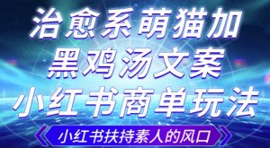 治愈系萌猫加+黑鸡汤文案,小红书商单玩法,3~10天涨到1000粉,一单200左右-聚富社