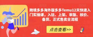 跨境多多海外版多多Temu12天快速入门实操课,入驻、上架、审版、核价、备货、正式售卖全流程-聚富社