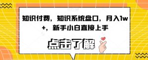 知识付费,知识系统盘口,月入1w+,新手小白直接上手-聚富社