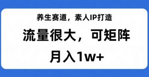 养生赛道,素人IP打造,流量很大,可矩阵,月入1w+【揭秘】-聚富社