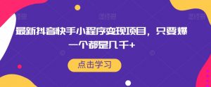 最新抖音快手小程序变现项目,只要爆一个都是几千+-聚富社