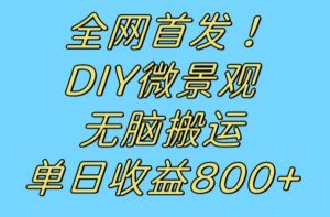 全网首发冷门赛道!DIY微景观,无脑搬运视频,日收益800+【揭秘】-聚富社