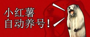 小红书养号秘籍,如何自动涨粉清晰系统标签打造高权重账号【揭秘】-聚富社