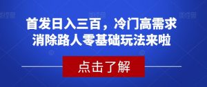 首发日入三百,冷门高需求消除路人零基础玩法来啦【揭秘】-聚富社