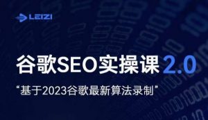 雷子·谷歌SEO 2.0实战课,独立站询盘自由必备,基于2023谷歌最新算法录制-聚富社