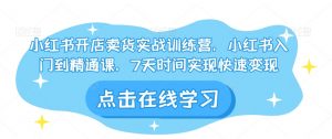 小红书开店卖货实战训练营,小红书入门到精通课,7天时间实现快速变现-聚富社
