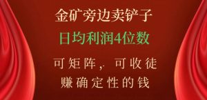 金矿旁边卖铲子,赚确定性的钱,可矩阵,可收徒,日均利润4位数【揭秘】-聚富社
