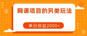网课项目的另类玩法,单日收益2000+【揭秘】-聚富社