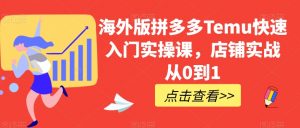 海外版拼多多Temu快速入门实操课,店铺实战从0到1-聚富社