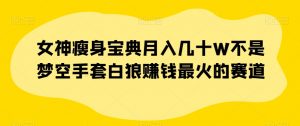 女神瘦身宝典月入几十W不是梦空手套白狼赚钱最火的赛道【揭秘】-聚富社