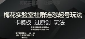 梅花实验室社群连怼起号玩法,卡模板过原创玩法【揭秘】-聚富社