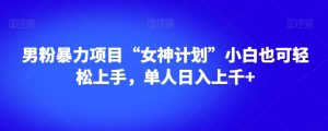 男粉暴力项目“女神计划”小白也可轻松上手,单人日入上千+【揭秘】-聚富社