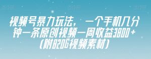 视频号暴力玩法，一个手机几分钟一条原创视频一周收益3800+（附820G视频素材）-聚富社