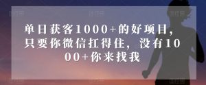 单日获客1000+的好项目,只要你微信扛得住,没有1000+你来找我【揭秘】-聚富社
