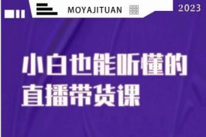 大威本威·能听懂的直播带货课,小白也能听懂,20节完整-聚富社