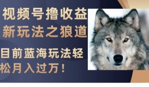 视频号撸收益新玩法之狼道,目前蓝海玩法,轻松月入过万【揭秘】-聚富社