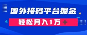 通过国外接码平台掘金:成本1.3,利润10+,轻松月入1万+【揭秘】-聚富社