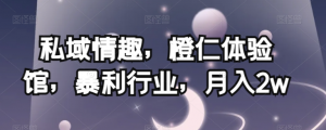 私域情趣,橙仁体验馆,暴利行业,月入2w【揭秘】-聚富社