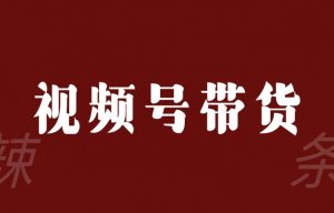 视频号带货联盟,赚信息差的带货钱,只需手机随时随地都可以做!-聚富社