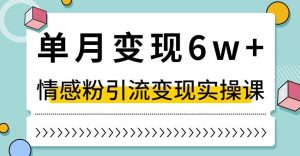 单月变现6W+，抖音情感粉引流变现实操课，小白可做，轻松上手，独家赛道【揭秘】-聚富社
