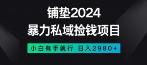 暴力私域捡钱项目，小白无脑操作，日入2980【揭秘】-聚富社