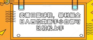 卖莆田篮球鞋，暴利掘金日入四位数新手小白都可以轻松上手【揭秘】-聚富社