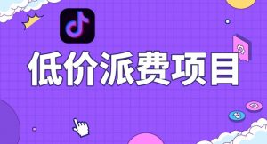 抖音低价派单项目,0门槛,日入1000+很轻松,小白可操作【揭秘】-聚富社