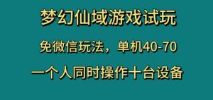 梦幻仙域游戏试玩,免微信玩法,单机40-70,一个人同时操作十台设备【揭秘】-聚富社