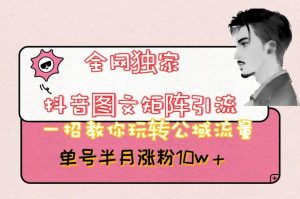 全网独家抖音图文矩阵引流,一招教你玩转公域流量,单号半月涨粉10w+【揭秘】-聚富社