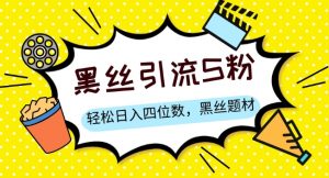 S粉变现,轻松日入四位数,黑丝题材+情感话术【揭秘】-聚富社