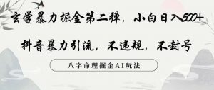 玄学暴力掘金第二弹,小白日入500+,抖音暴力引流,不违规,术封号,八字命理掘金AI玩法【揭秘】-聚富社