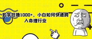 玄学狂撸1000+,小白如何快速跨入命理行业【揭秘】-聚富社