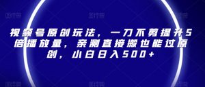 视频号原创玩法,一刀不剪提升5倍播放量,亲测直接搬也能过原创,小白日入500+【揭秘】-聚富社